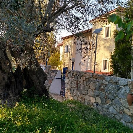 9 Musses Hotel Apartments Skala Mistegnon Eksteriør bilde